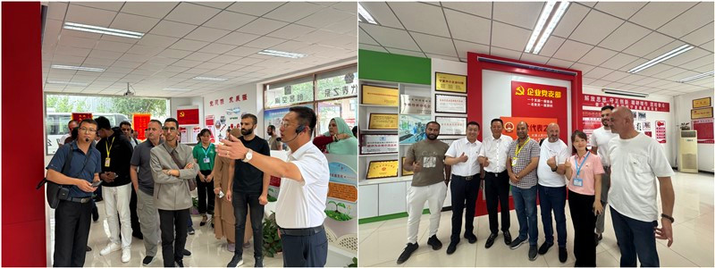 銀川伊百盛生物工程有限公司