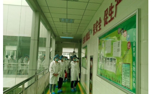 值公司成立十周年慶典，公司贊助萬名老人免費游寧夏系列活動